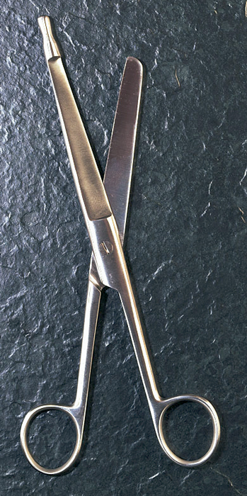 Nůžky na střevo, délka 21 cm