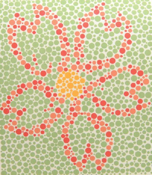 ISHIHARA, barvocitné tabulky, 14 tabulek